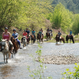 PRUEBE MONTAR A CABALLO EN LA CIUDAD DESIERTA DE KAYAKOY, FETHIYE